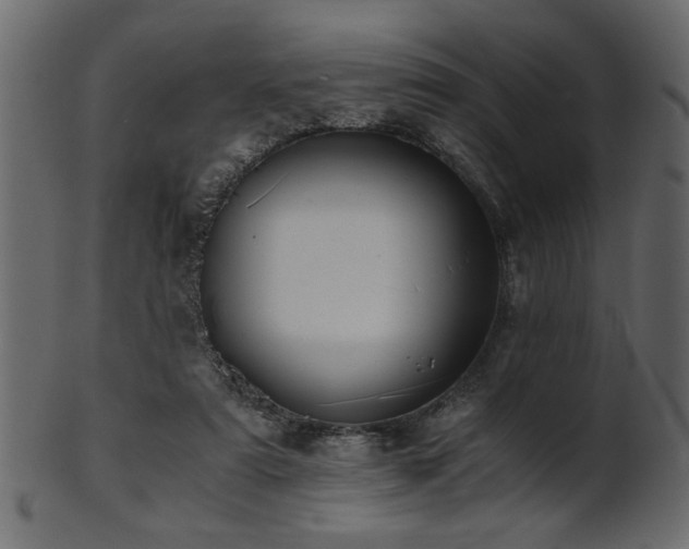 X0000101950307200807181456