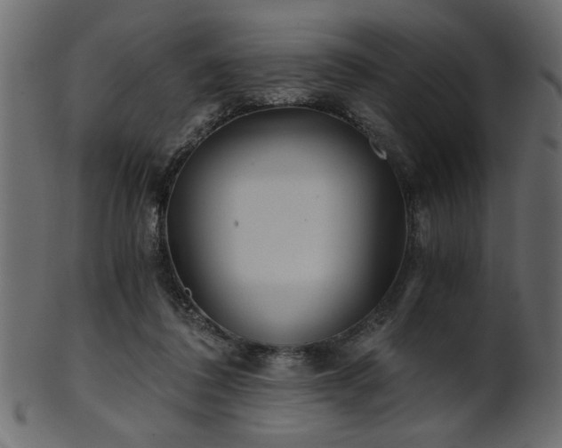 X0000101950308200807181456