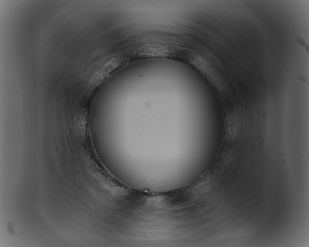 X0000101950309200807181456