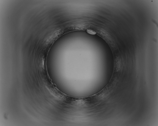 X0000101950310200807181456