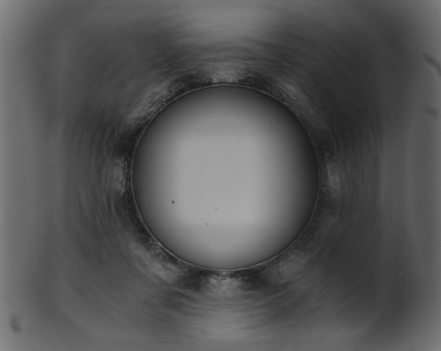 X0000101950311200807181456