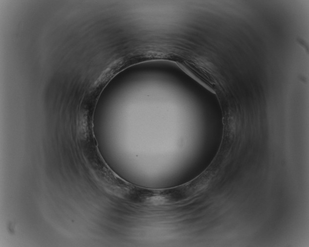 X0000101950312200807181456