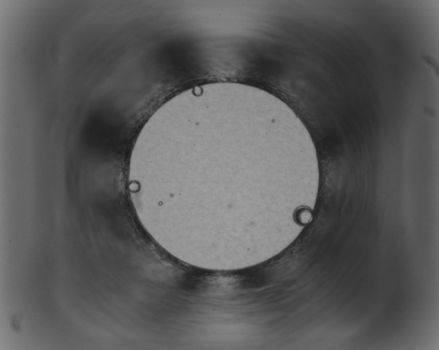 X0000101950313200807181456