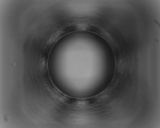 X0000101950314200807181456