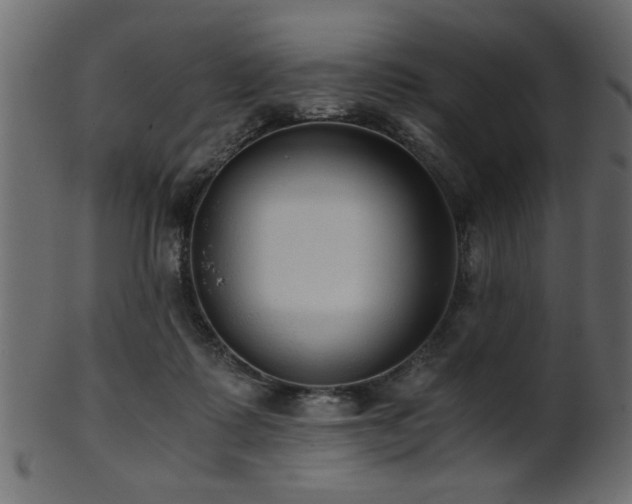 X0000101950315200807181456