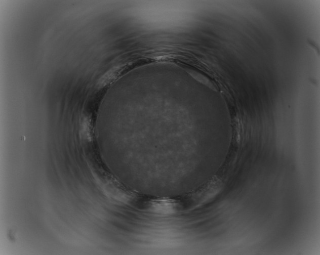 X0000101950316200807181456