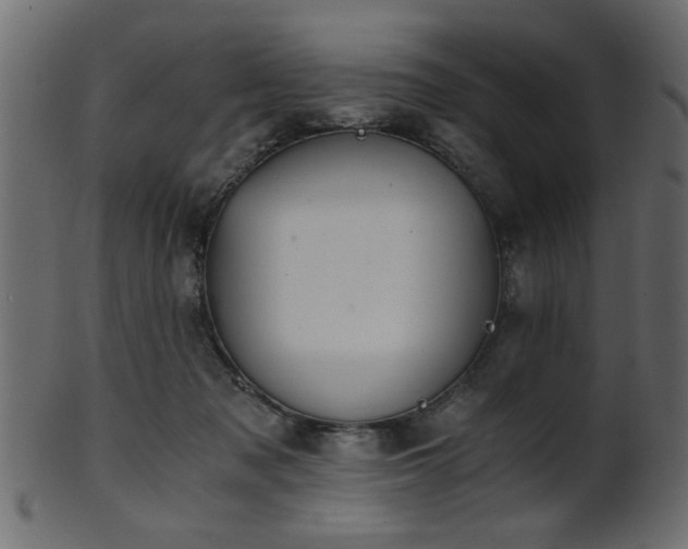 X0000101950317200807181456