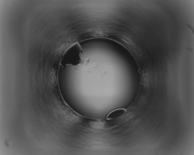 X0000101950318200807181456