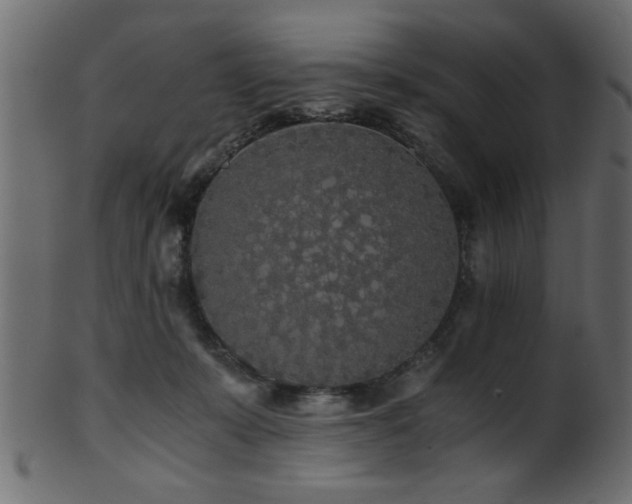 X0000101950319200807181456