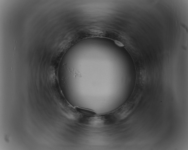 X0000101950320200807181456