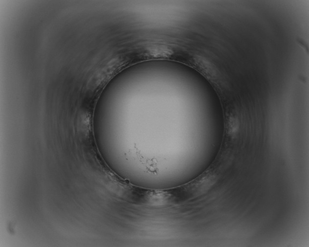 X0000101950321200807181456