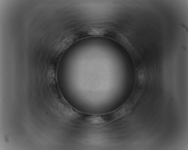 X0000101950322200807181456