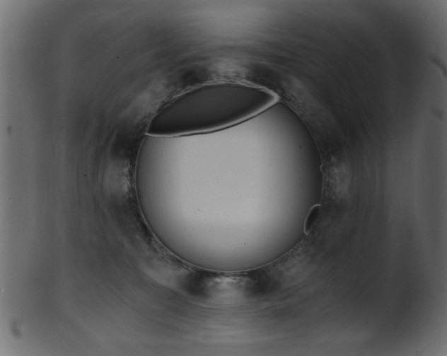 X0000101950323200807181456