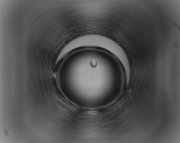 X0000101950324200807181456