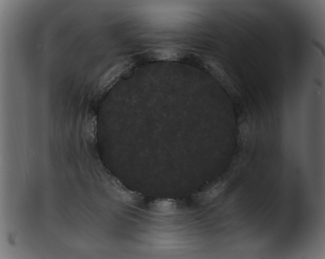 X0000101950325200807181456