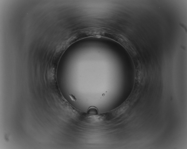 X0000101950326200807181456