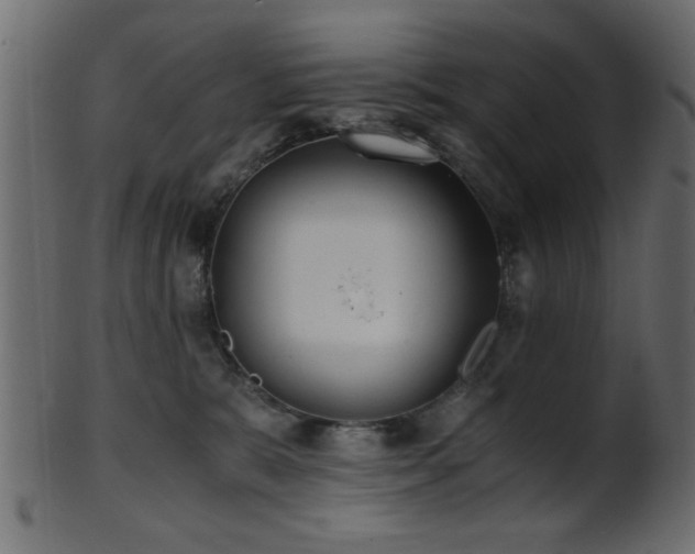 X0000101950327200807181456