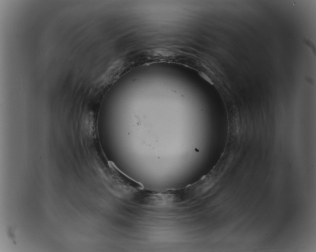 X0000101950328200807181456