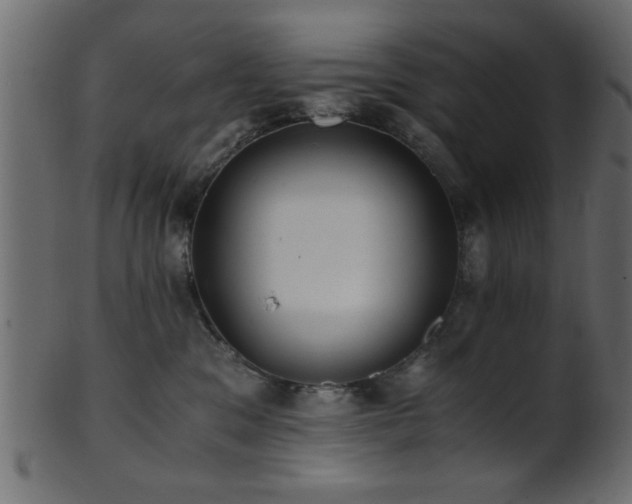 X0000101950329200807181456