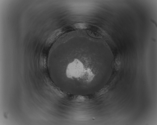 X0000101950330200807181456