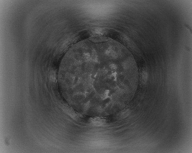 X0000101950331200807181456