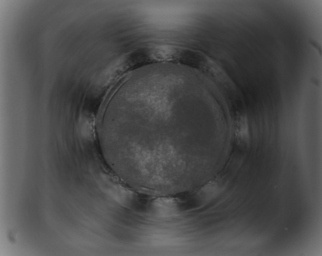 X0000101950332200807181456