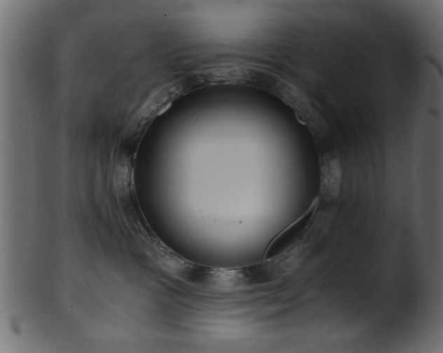 X0000101950333200807181456