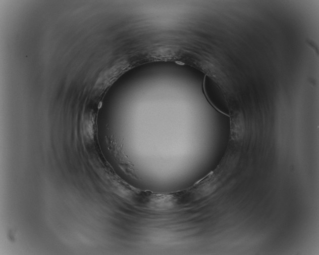 X0000101950334200807181456