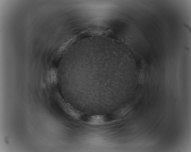 X0000101950335200807181456