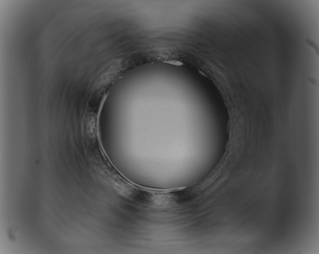 X0000101950336200807181456