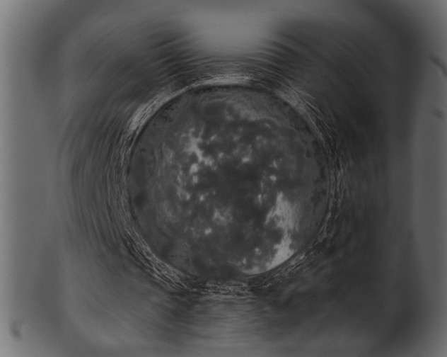 X0000101950337200807181455