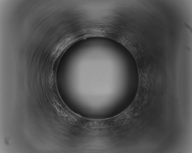 X0000101950338200807181455