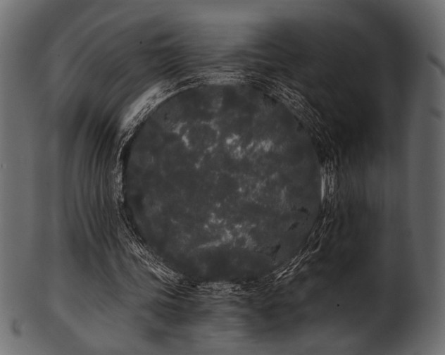 X0000101950339200807181455