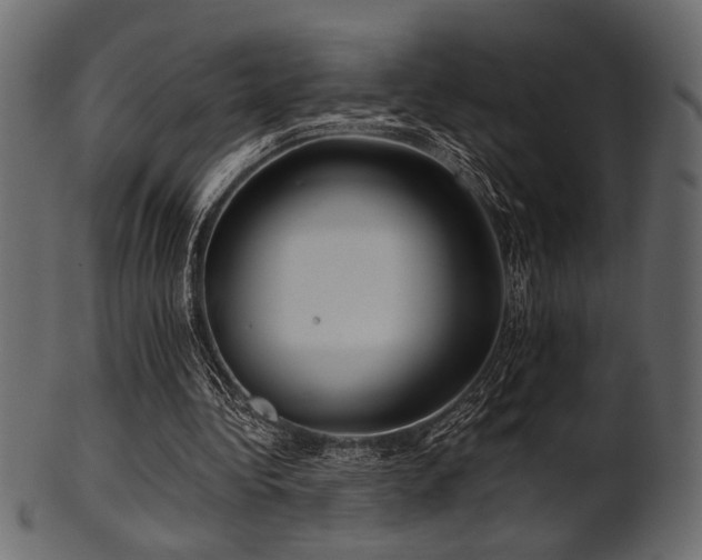 X0000101950340200807181455