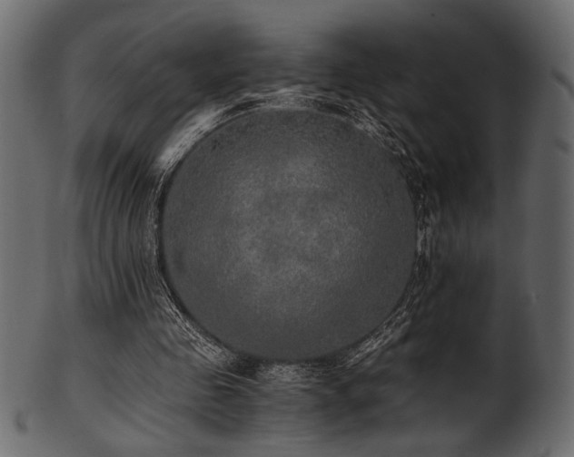 X0000101950341200807181455