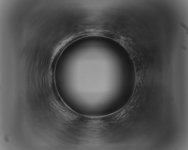 X0000101950342200807181455