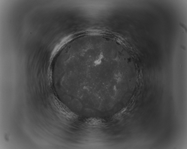 X0000101950343200807181455