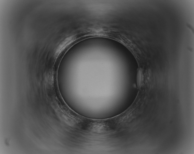 X0000101950344200807181455