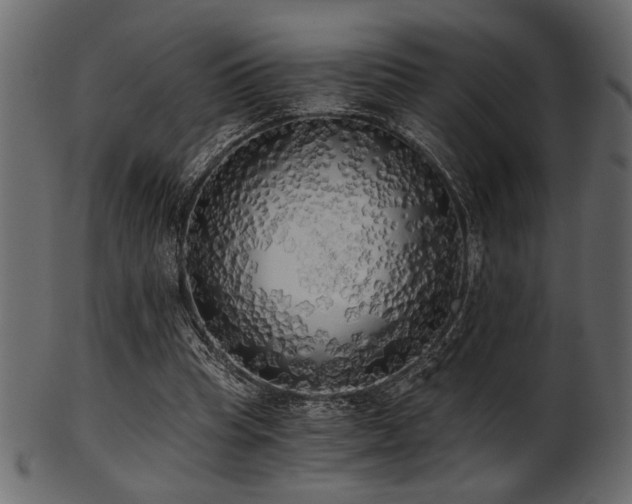 X0000101950345200807181455