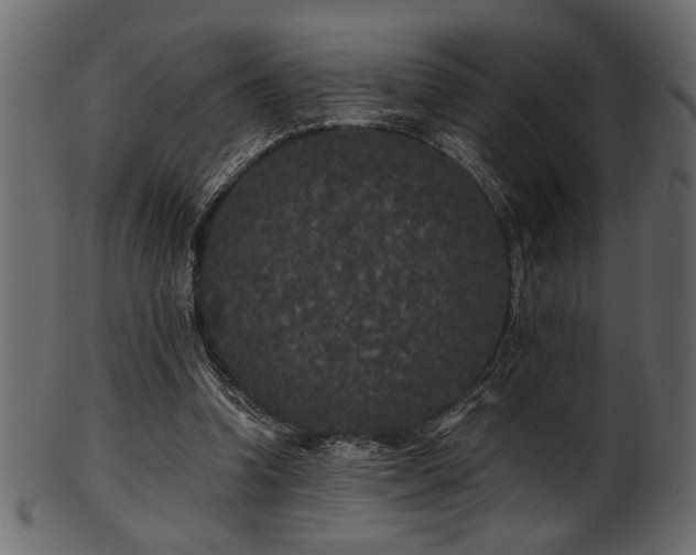 X0000101950346200807181455