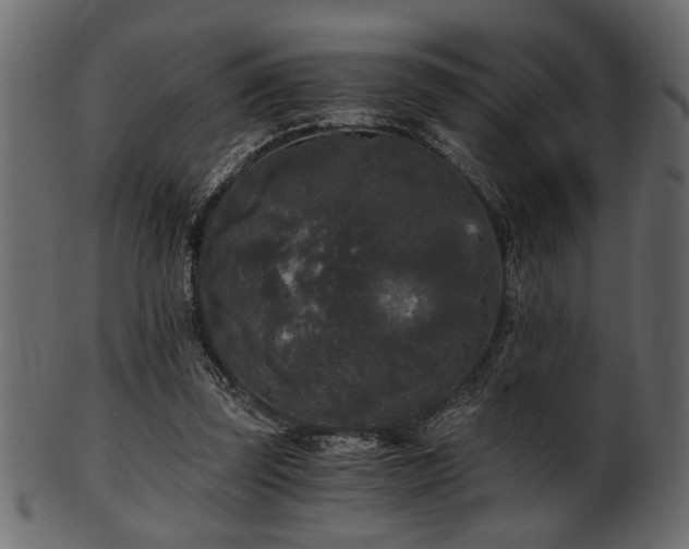 X0000101950347200807181455