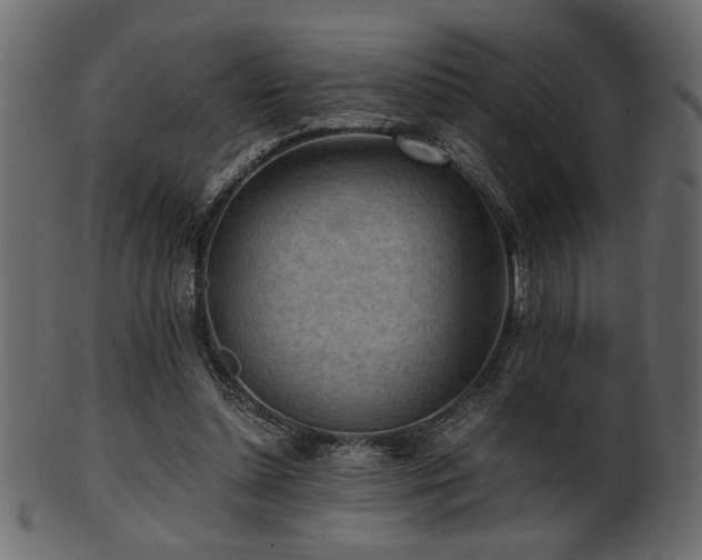 X0000101950348200807181455