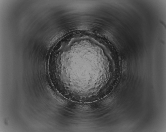 X0000101950349200807181455