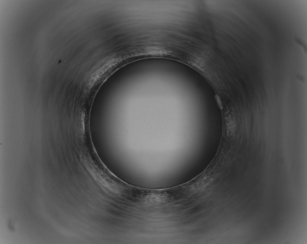 X0000101950350200807181455