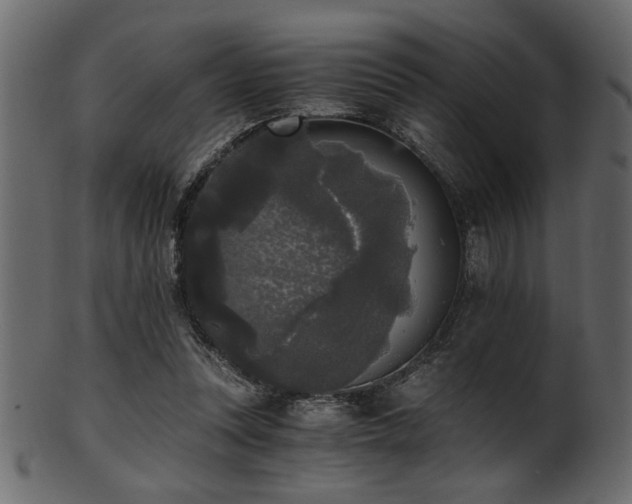 X0000101950351200807181455