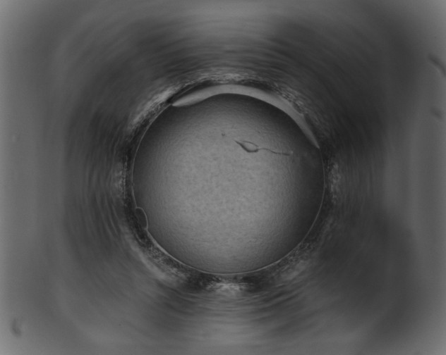 X0000101950352200807181455