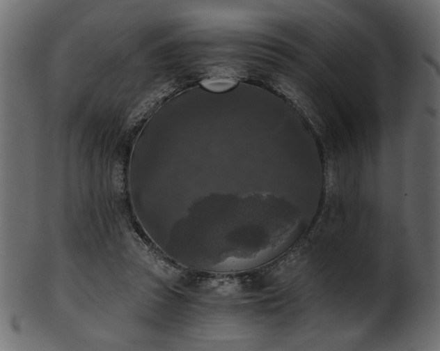 X0000101950353200807181455