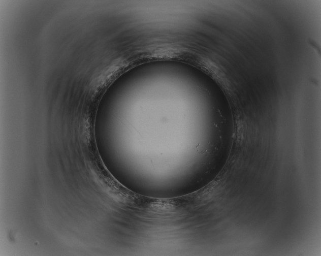 X0000101950354200807181455