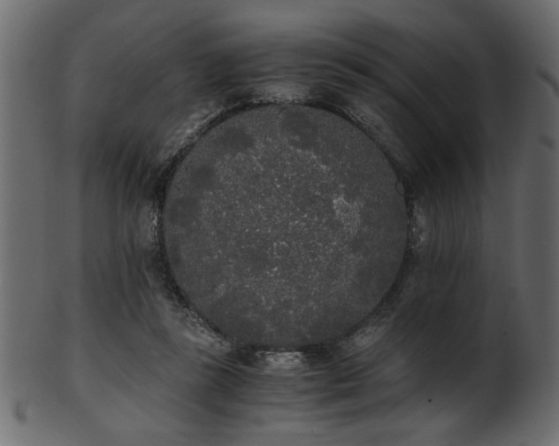 X0000101950355200807181455