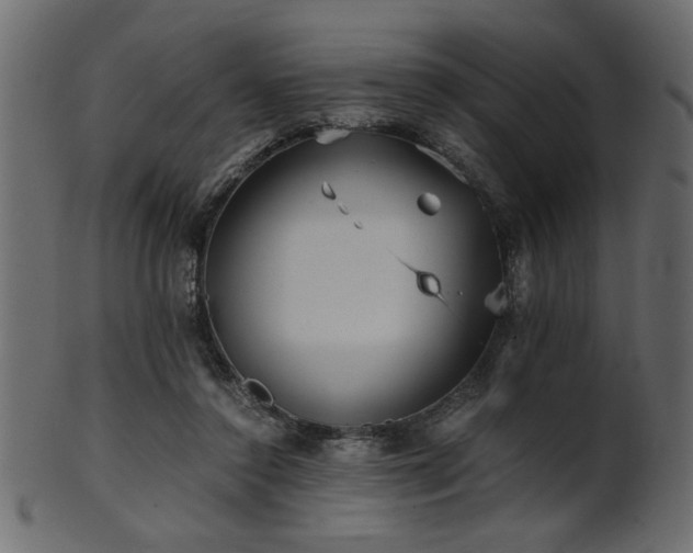 X0000101950356200807181455